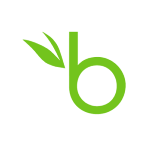 bambooHR Logo